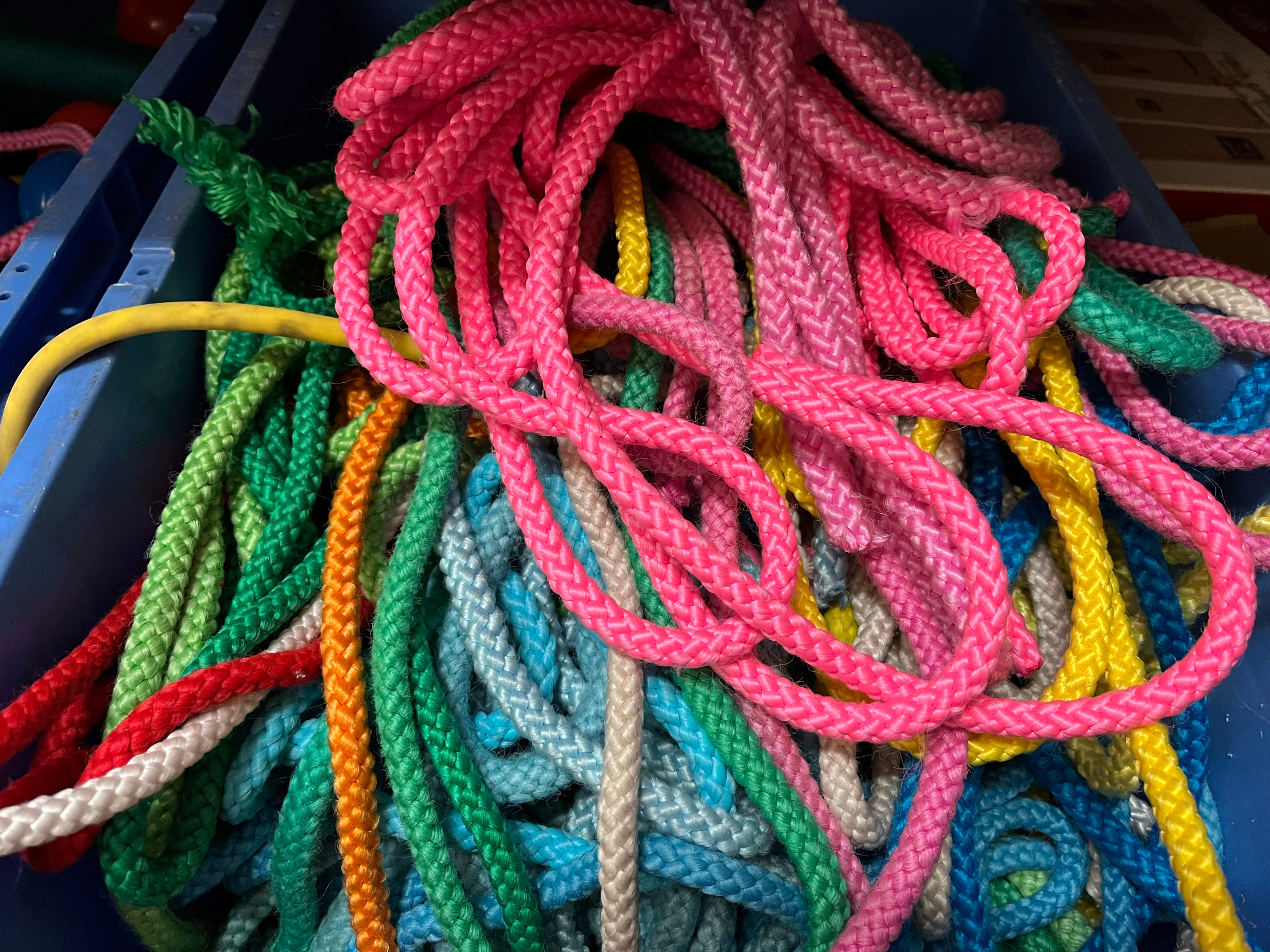 Bunte Taue